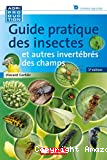 Guide pratique des insectes et autres invertébrés des champs