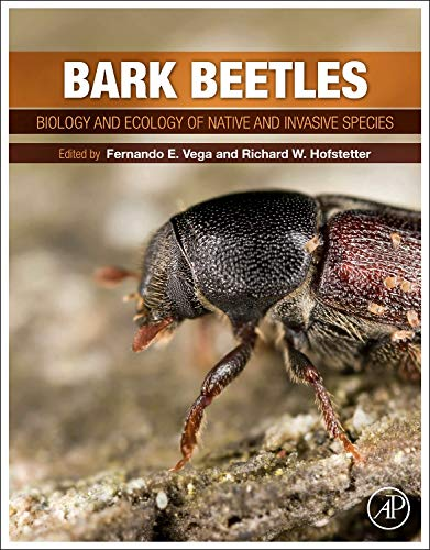 Bark beetles