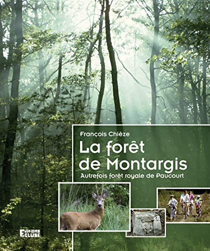 La forêt de Montargis