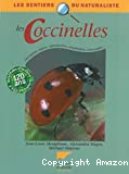 Les coccinelles