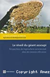 Le réveil du géant assoupi