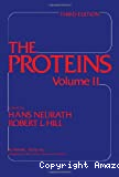 The proteins. Vol. 2.