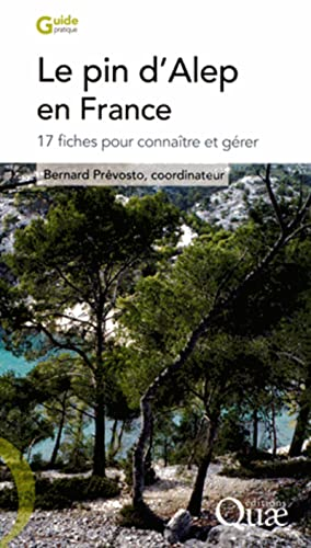 Le pin d'Alep en France