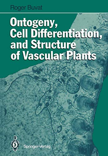 Ontogeny, cell differenciation, and structure of vascular plants