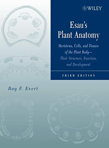 Esau's plant anatomy