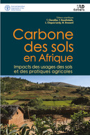Carbone des sols en Afrique