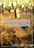 Les ennemis naturels du bois d'oeuvre.