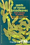 Seeds of forest broadleaves : from harvest to sowing