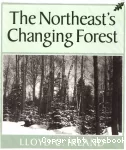 The Northeast's Changing Forest