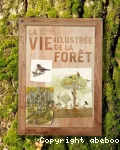 La vie illustrée de la forêt