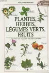 Plantes, herbes, légumes verts, fruits : les clefs du régime méditerranéen