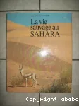 La vie sauvage au Sahara