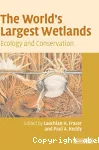 The world's largest wetlands. Ecology and conservation