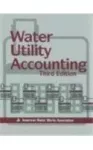 Water utility accounting