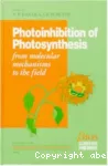 Photoinhibition of photosynthesis
