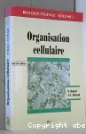 Organisation cellulaire