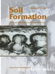 Soil formation