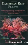 Caribbean Reef Plants An Identification Guide to the Reef Plants of the Caribbean, Bahamas, Florida and Gulf of Mexico