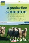 La production du mouton