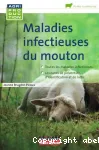 Maladies infectieuses du mouton