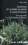 Guayule et autres plantes à caoutchouc