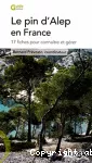 Le pin d'Alep en France