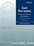 Esau's plant anatomy