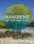 Mangrove