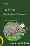 Le lapin