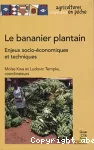 Le bananier plantain