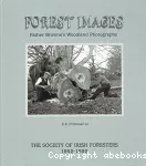Forest images