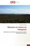 Moutons et colons en Patagonie