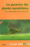 Les pucerons des plantes maraîchères