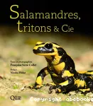 Salamandres, tritons & Cie