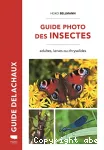 Guide photo des insectes