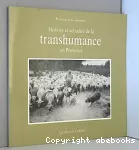 Histoire et actualité de la transhumance en Provence