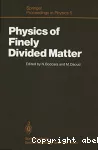 Physics of finely divided matter