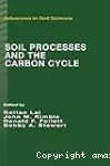Soil processes and the carbon cycle