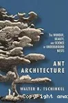 Ant architecture