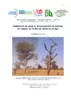 Modélisation de stock et d’accroissement de biomasse du houppier de Faidherbia albida au Sénégal