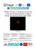 Characterization of ubiquitous interactors of the plastid transcriptional complex during the transition from dark to light