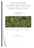 Etude de la Phénologie végétative et reproductive des arbres de canopée de Guyane française en couplant des méthodes de télédétection et morpho-anatomie des branches