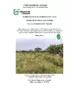 Comparaison des savanes arbustives VS savanes basses herbacées et mesure de l’impact du nombre de feux dans ces deux milieux sur les communautés végétales et les fourmis dans la Savane des Pères