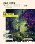 La forêt, un trésor à préserver