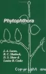 Phytophthora