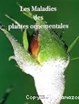 Les Maladies des plantes ornementales