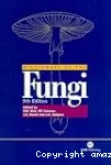 Ainsworth & Bisby's dictionary of the fungi