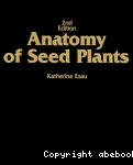 Anatomy of seed plants