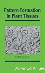 Pattern formation in plant tissues