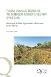 From jungle rubber to Rubber Agroforestry Systems